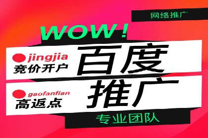 竞价SEM案例分享：行业霸主崛起之路